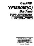 1993 Yamaha YFM80D Badger Service Manual